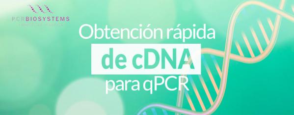 Obtenga cDNA listo para qPCR rápidamente