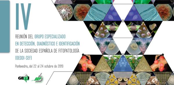 IV Reunión del GEDDI-SEF (Pontevedra 2019)