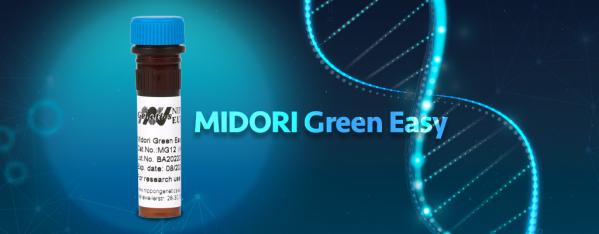 MIDORI Green Easy