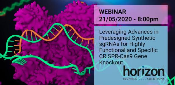 Leveraging Advances in Predesigned Synthetic sgRNAs for Highly Functional and Specific CRISPR-Cas9 Gene Knockout