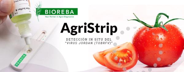 AgriStrip: la nueva prueba rápida para el virus de la rugosa marrón del tomate (ToBRFV)