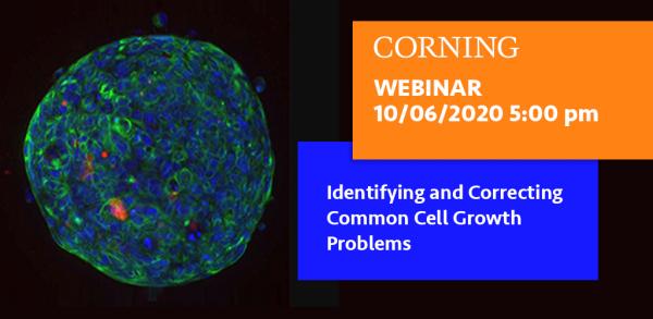 Identifying and Correcting Common Cell Growth Problems