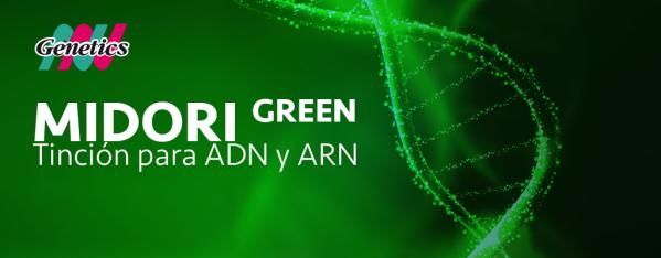 Obtenga la mejor señal de ADN y ARN con Midori Green