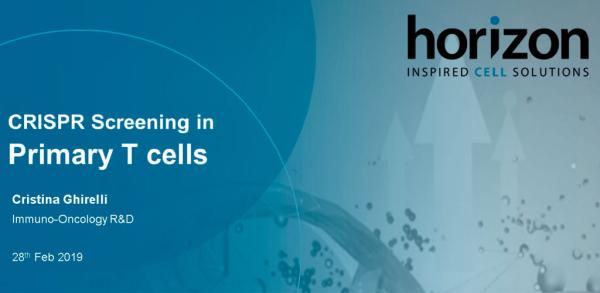 Horizon: CRISPR Screening in Primary Human T Cells Extending Cell Type Capabilities