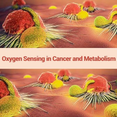 Seminario ON LINE:  Oxygen Sensing in Cancer and Metabolism